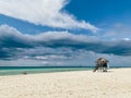 Lifeguard Watchtower, Playacar Beach, Quintana Roo, sunny day, Mexico Royalty Free Stock Photo