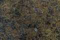 Lifeless background image. Siberian soil. Macro photo