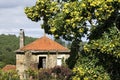 Lifeless house and vibrant chestnut tree, Portugal