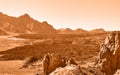 Lifeless martian landscape