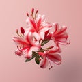 Lifelike Azalea Flower Arrangement: Minimal Retouching 3d Illustration