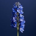 Lifelike Delphinium: Minimal Retouching, Micro Photograph Style