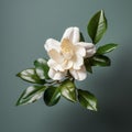 Lifelike Gardenia: Minimal Retouching, Micro Photograph Style