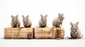 Lifelike Renderings Of Small Mice Standing On Boxes