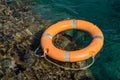 Lifeline in the red sea near coral reef