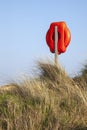 Lifesaving ring amongst the grasses, Walberswick beach, Suffolk, England Royalty Free Stock Photo