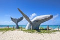 Lifesize Whale Statue, Front, At The Port On Grand Turk