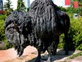 Lifesized bronze Buffalo Statue in the Street in Calgay Canada Royalty Free Stock Photo