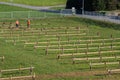 Lifestock show Viehschau preparation in Flums, St. Gallen, Swi