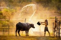 Lifestyle of Asian concept. Asian people are bathing for the water buffalo during Songkran`s summer. The rice field countryside Royalty Free Stock Photo