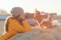 Lifestyle concept of pretty young happy smiling woman in wool cap and yellow jacket looking at her funny chihuahua little pet dogs Royalty Free Stock Photo