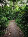 Lifestyle cycling in nature