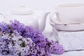 Lifestyle lilac 2 Royalty Free Stock Photo