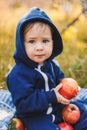 Lifestyle little child with organic seasonal fruits. Funny small boy with apples outdoor. Royalty Free Stock Photo