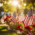 lifestyle photo memorial day cemetary US flags