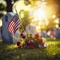 lifestyle photo memorial day cemetary US flags Royalty Free Stock Photo