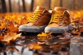 Lifestyle shot Stylish sneakers tread on fallen leave