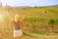 Terraced vineyards of Montalcino in Italy Royalty Free Stock Photo