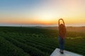 Lifestyle traveler women happy feeling good relax and freedom facing on the natural tea farm in the sunrise morning, Royalty Free Stock Photo