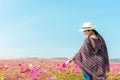 Lifestyle traveler women raise hand feeling good relax and happy freedom on the meadow nature cosmos farm in the sunrise morning. Royalty Free Stock Photo