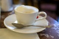 Lifestyle of Vienna, cup of hot cappuccino coffee with cream foam served in old Viennese-style Austrian cafe