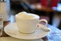 Lifestyle of Vienna, cup of hot cappuccino coffee with cream foam served in old Viennese-style Austrian cafe