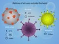 Lifetime of viruses outside the body. Infection.