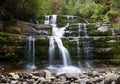Liffey Falls Royalty Free Stock Photo