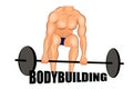 Lifting barbells. bodybuilding.