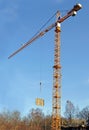 Lifting the tower crane moves freight Royalty Free Stock Photo