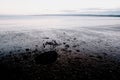 Afternoon light Filey Brigg East Yorkshire coast England Royalty Free Stock Photo