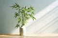 Bamboo Plant in a Light and Airy Product