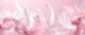 Light airy delicate feathers on a pale pink background