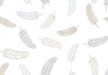 Light, airy feather pattern on a white background. Features beige and gray feathers scattered Royalty Free Stock Photo