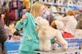 A light apricot poodle in the rack attentively watches the handler's hand