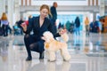 A light apricot poodle in a rack next to a female handler