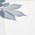 Light background and the soft, dark shadow emphasizes the leaf s organic Royalty Free Stock Photo