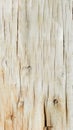 Light background texture plywood painted white Veneer