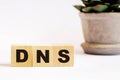 On a light background wooden cubes with the inscription DNS and a flower in a pot. Defocus