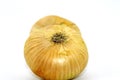 Onions in Golden clothes on a light background