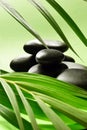 Light and balanced stones. Green leaf. Spa concept Royalty Free Stock Photo