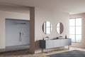 Light bathroom interior with douche and sink with mirror, window