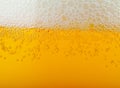 Light beer background Royalty Free Stock Photo