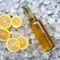 Light beer bottle with lemon slices Royalty Free Stock Photo