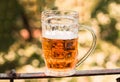 Light beer closeup in large glass, alcohol Royalty Free Stock Photo