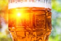 Light beer closeup in large glass, alcohol Royalty Free Stock Photo