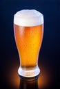 light beer in frosty glass over dark blue background Royalty Free Stock Photo