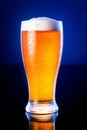 light beer in frosty glass over dark blue background Royalty Free Stock Photo