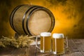 Light beer in glasses near the barrel Royalty Free Stock Photo