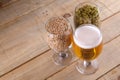 Light beer and ingredients Royalty Free Stock Photo